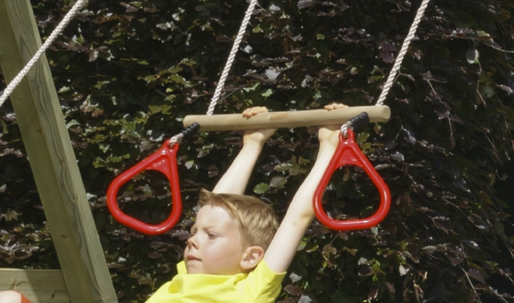 Blue Rabbit Freeswing with Swibee Nest swing and trapeze bar - Image 11